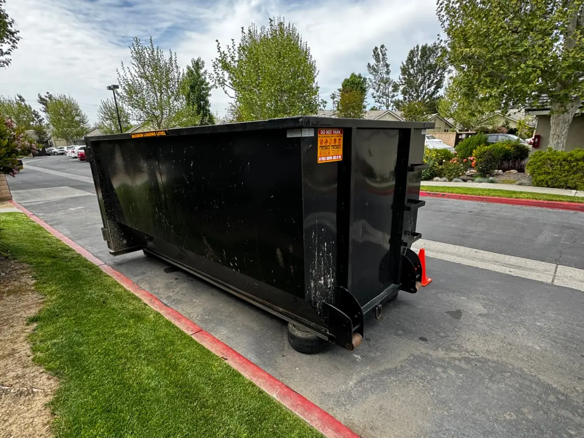 Park N Dump 20 yard dumpster at the curb beside a lawn
